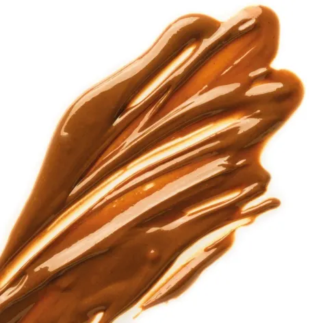 Semi Liquid Hazelnut Praline